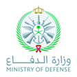 Success partner logo