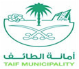Success partner logo